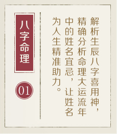 博罗起名流程一